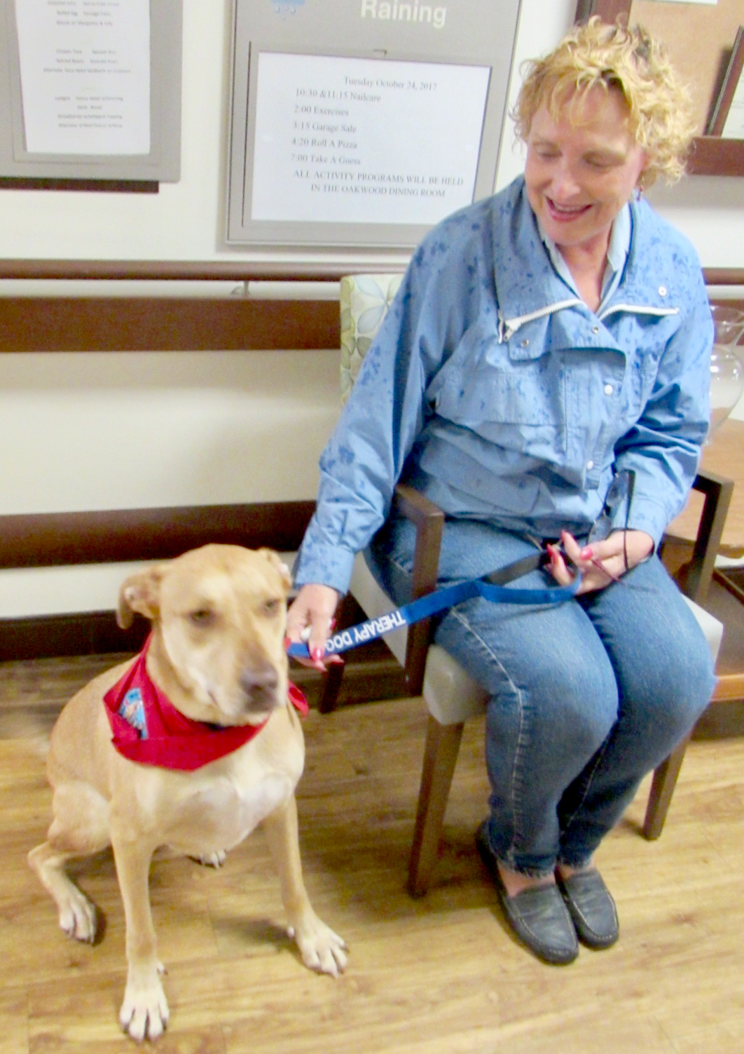 Applewood Pet Therapy with Therapy Dogs International