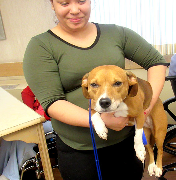 Pet Therapy with Bella at Generations at Regency