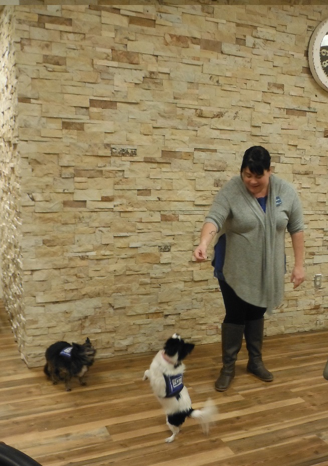 Neighbors: Pet Therapy with Lucky and Gracie